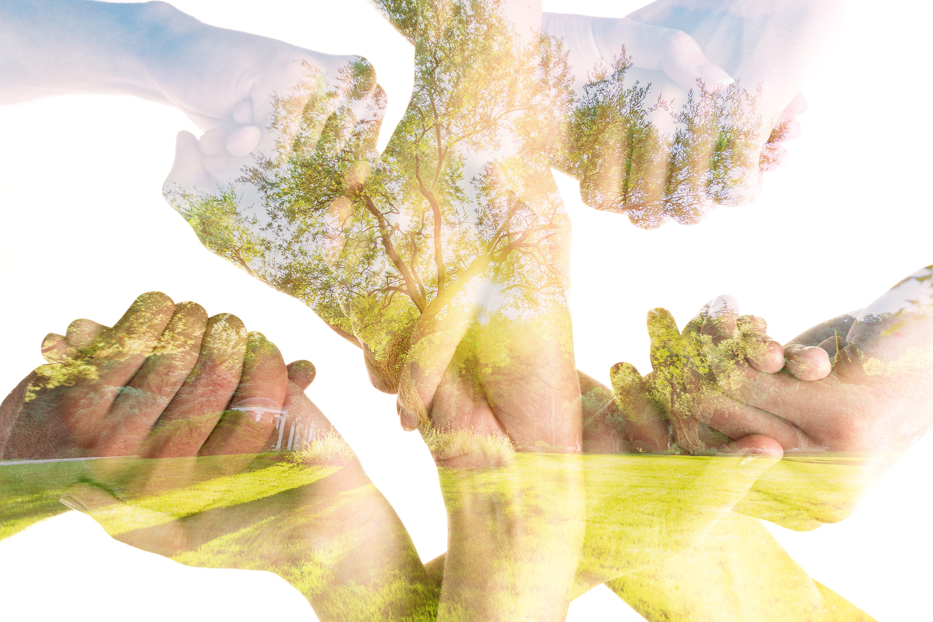 Innovation und Nachhaltigkeit